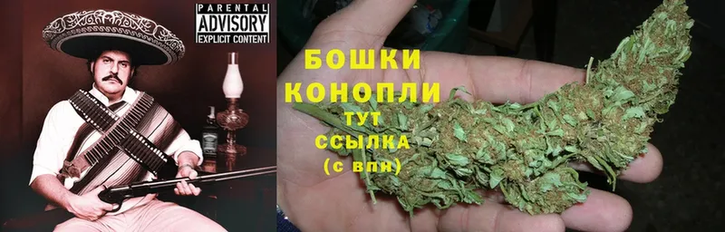 что такое   Камень-на-Оби  Канабис THC 21% 